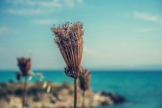 Météo Guadeloupe : quelle saison choisir pour votre sejour