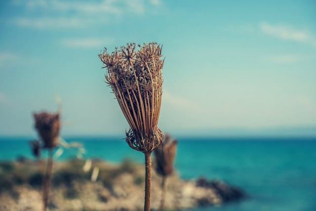 Meteo en Guadeloupe : quand partir pour un sejour ideal