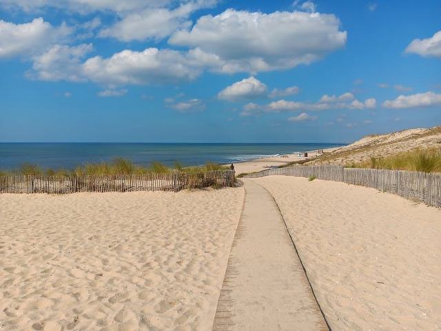 Plages de Deshaies : sable doré et nature tropicale