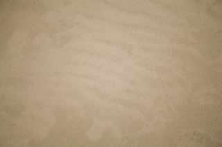 Plages de Grande-Terre : soleil et sable blanc en Guadeloupe