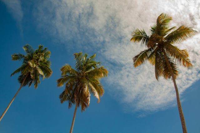Plages de Sainte-Anne : les plus belles de Grande-Terre