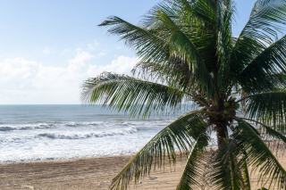 Plage Raisin Clairs a Saint-Francois : guide et conseils