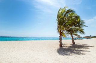 Plages sauvages de Guadeloupe : criques et anses secretes